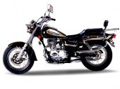 2008 Dfang DF125-21 photo